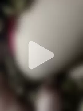 BEST-LOVER-1 photo 25