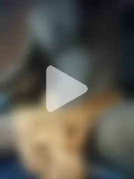 BI-SEX-Libel-SL photo 16