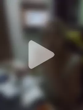 BIADELICIA1 photo 14