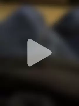 BIGWHITECOCKDOC36 photo 17