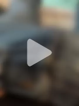 BIGWHITECOCKDOC36 photo 8