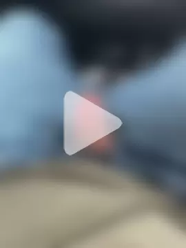 BIGWHITECOCKDOC36 photo 4