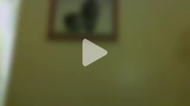 BIGWHITECOCKDOC36 photo 2