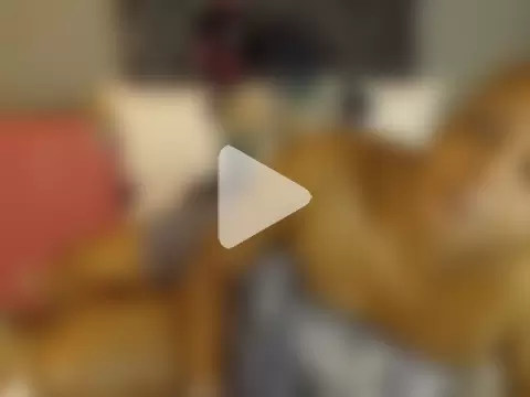 BIG_BOOBSxXxX photo 4