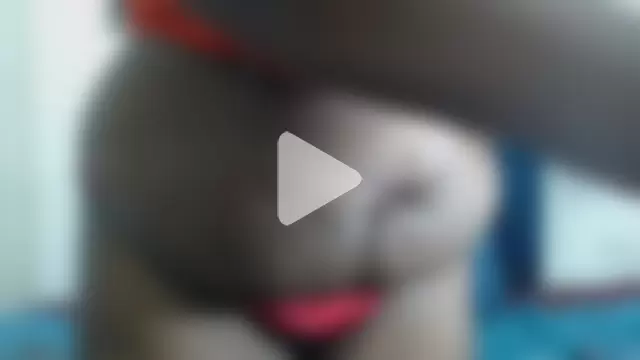 BUNNYBOOBS30 photo 24