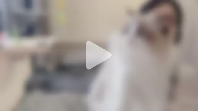 BabyOneDaily photo 14