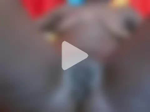 Babyloll5 photo 2