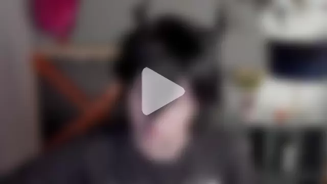 BakugoKatsuki photo 3