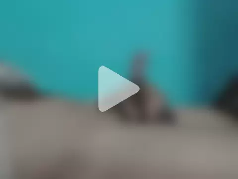 Bangalore_7inch photo 4