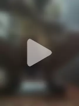 BasicGoal96 photo 19