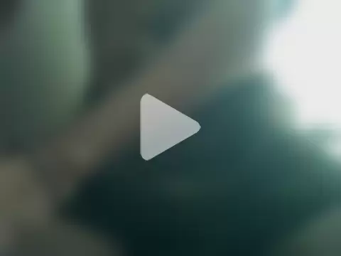 BatistaDiasG photo 17