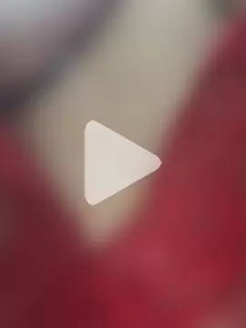 BatwingRiviera photo 7