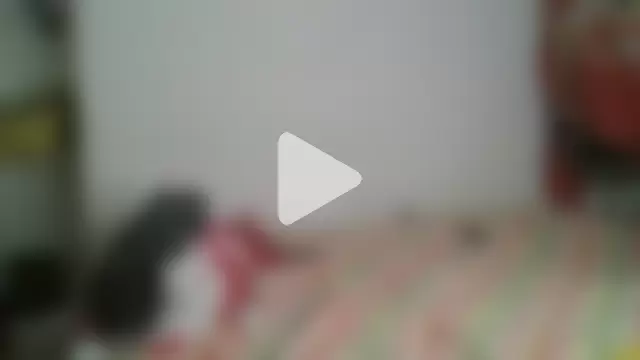 Beargryzzly photo 14