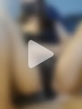 Bee___breastmilk photo 20