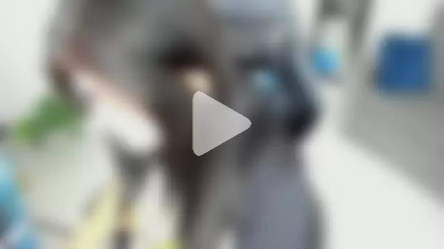 BellaFlaming photo 1