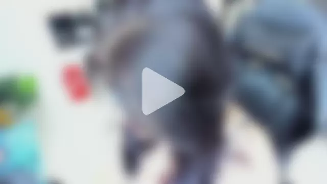 BellaFlaming photo 18