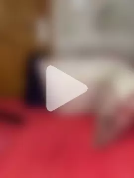 Bellabootie photo 18