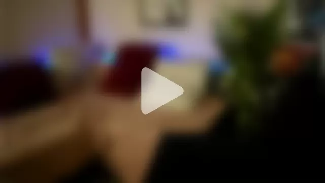 Bellis_Perenis photo 8