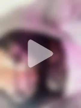 BellyDancer1 photo 11