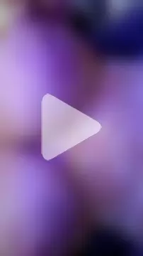 BellyDancer1 photo 8