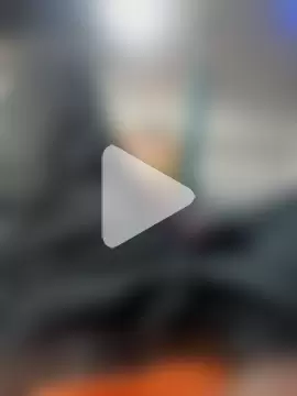 Bengali_BULL1 photo 24