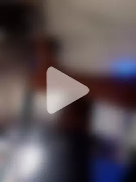 Bengali_BULL1 photo 23