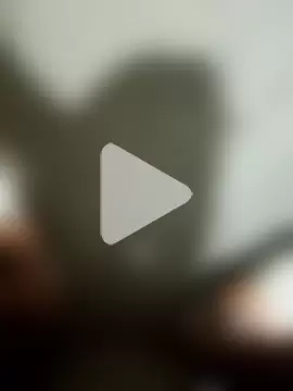 Bengali_BULL1 photo 18