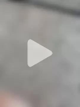 Bengali_BULL1 photo 16