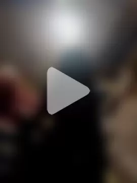 Bengali_BULL1 photo 15