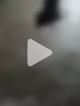 Bengali_BULL1 photo 11