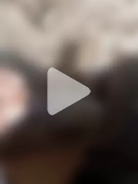 Bengali_BULL1 photo 2