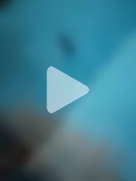 Bengali_BULL1 photo 25