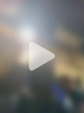 Bengali_BULL1 photo 15