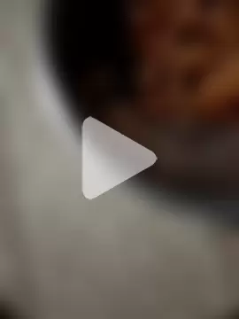 Bengali_BULL1 photo 10