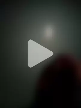 Bengali_BULL1 photo 8