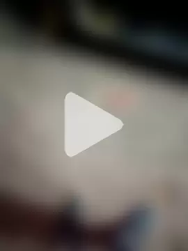 Bengali_BULL1 photo 4