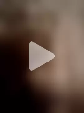 Bengali_BULL1 photo 2