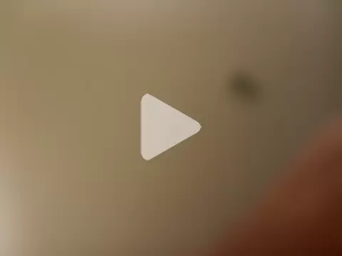 BigBen_and_Friends photo 3