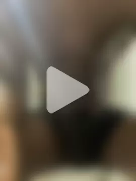 BigDawgStatusBalHarbour photo 22