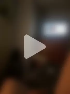 BigDawgzbite69 photo 8