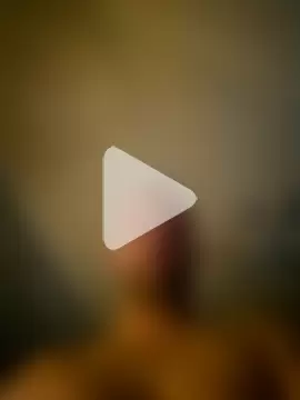 BigDorset8360 photo 15