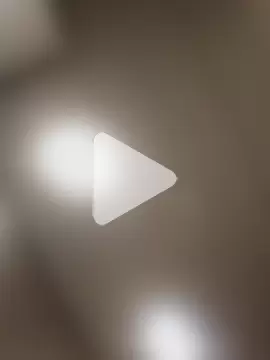 BigDorset8360 photo 13