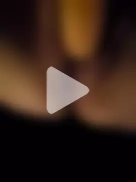 BigDorset8360 photo 1