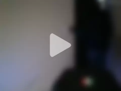 BigPanchomex photo 2