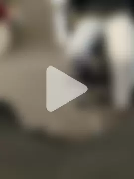 BigTeddy_7_08in photo 11