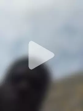 Big_B_Cock_1 photo 16