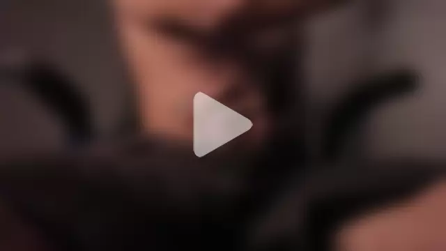 Big_cockcat photo 16