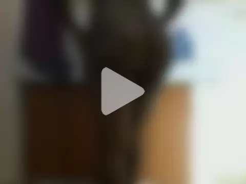 Bigblackbooty22 photo 14