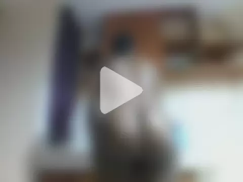 Bigblackbooty22 photo 3