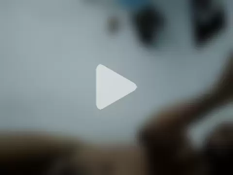 Binhosex2024 photo 17